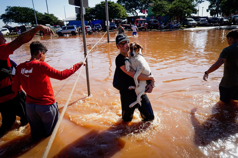 A woman carrying a dog wades through a flooded street, as three people stand near her.