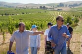 A group of people tour a vineyard.