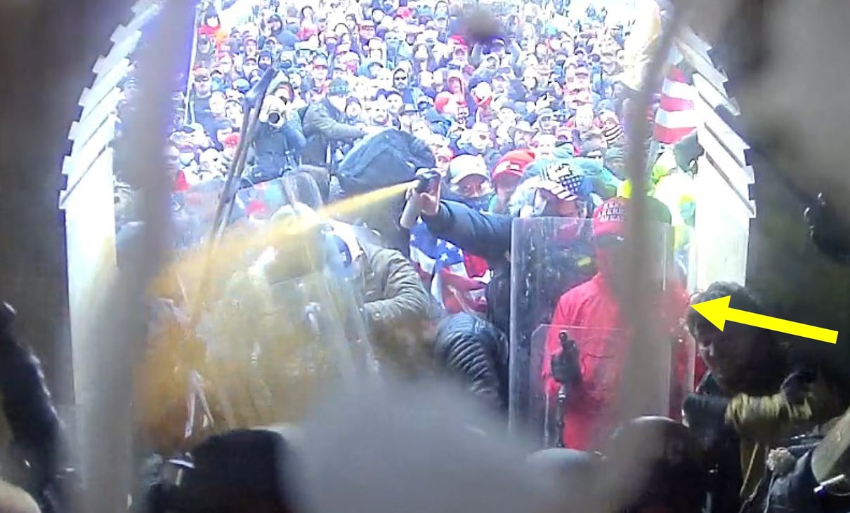 Stl Riots St. Louis Cardinals superfan sentenced to 10 months for Capitol riot ...