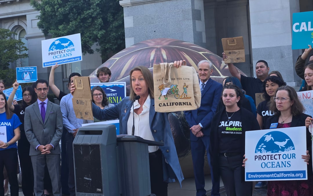 California takes on Big Plastic for selling nonrecyclable shopping bags