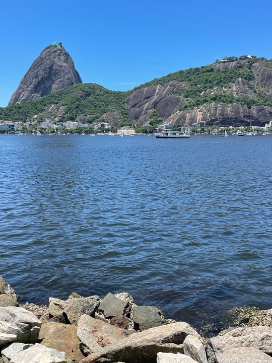 In Rio de Janeiro, sea turtles symbolize hope for clean water ...