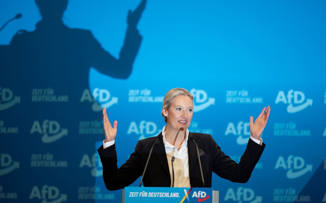 Germany lists far-right AfD party as danger to democracy