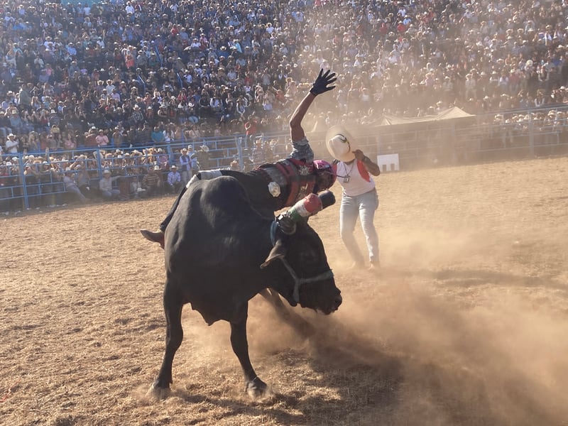 Mexican town rings in the new year with annual jaripeo | Courthouse ...