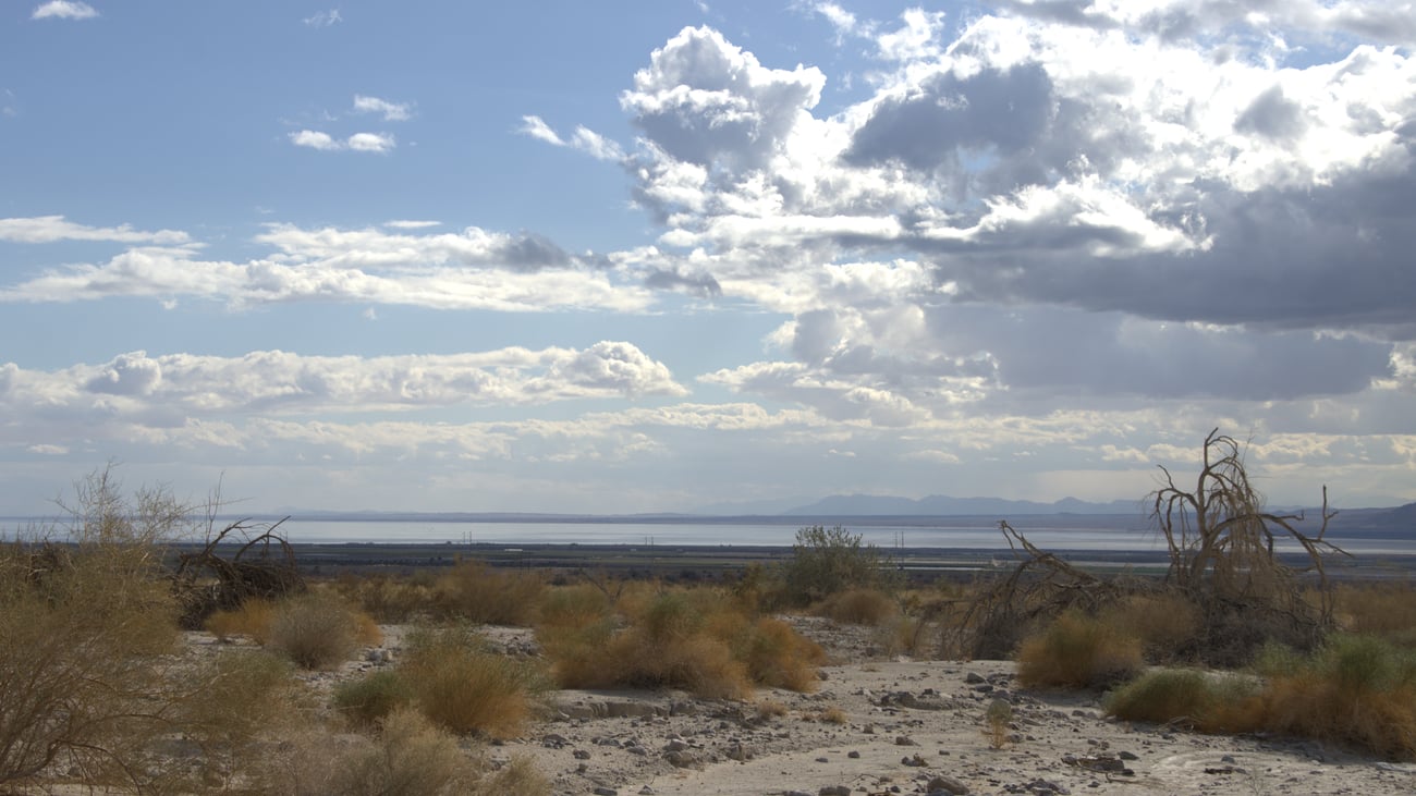 Nonprofit asks to renew challenge to Southern California lithium mine
