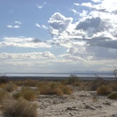 A brown desert spotted with green and orange bushes in the foreground leads to white and blue water in the background.