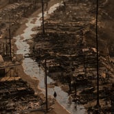 A neighborhood street with burned rubble on both sides.