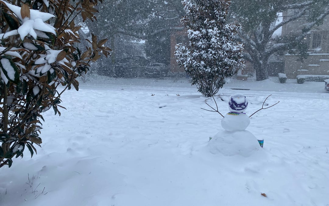 Do you want to sue a snowman?
