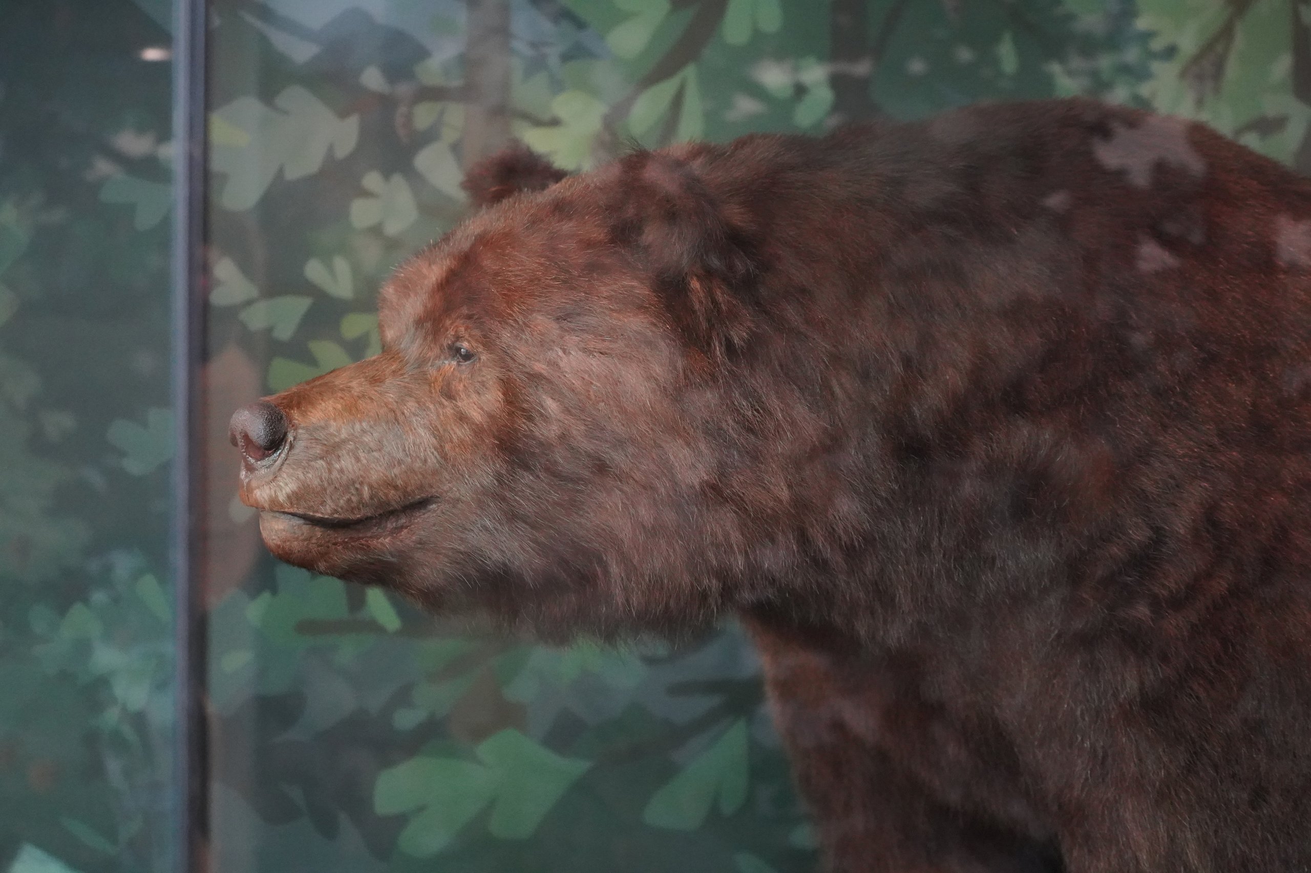 The Golden State flag and the myth of Monarch the grizzly