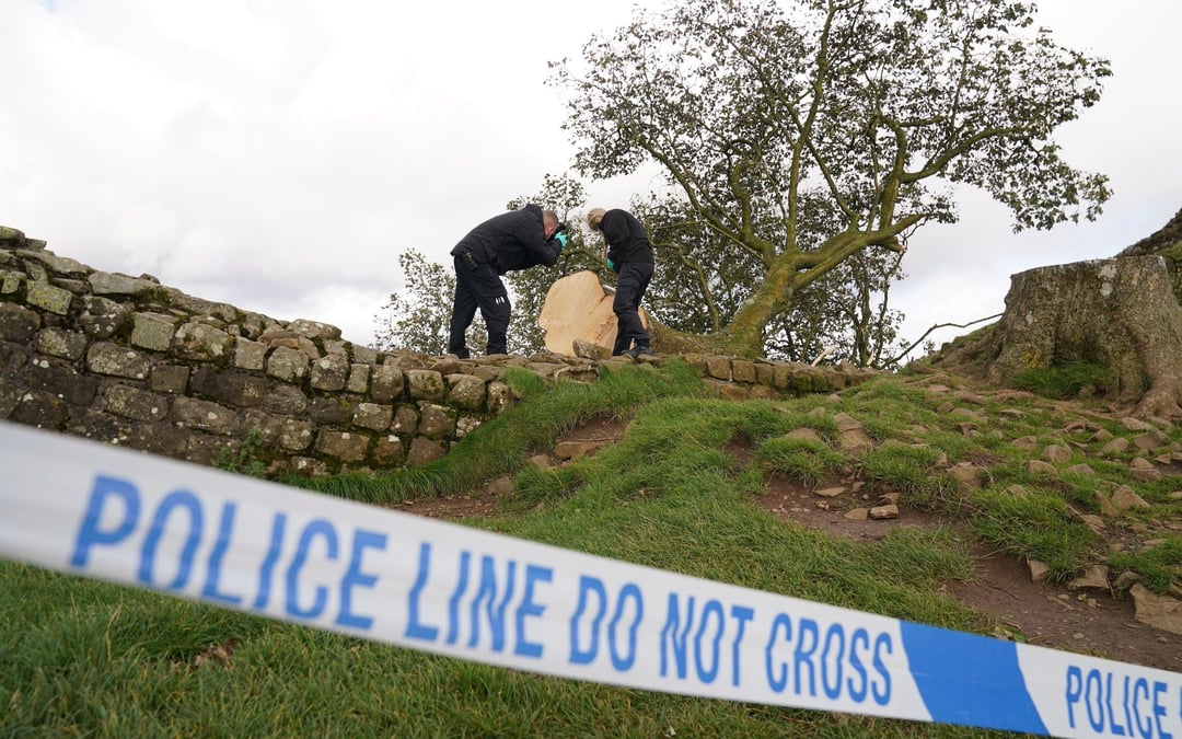 Grainy video in UK trial shows Sycamore Gap tree’s last stand