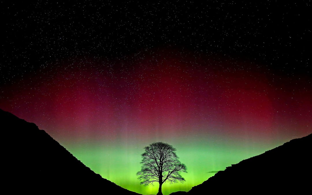 Sycamore Gap tree took more than a century to grow and less than 3 minutes to fell, prosecutors say