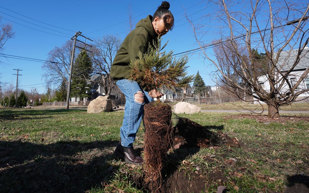 A sequoia forest in Detroit? Plantings to improve air quality and mark Earth Day