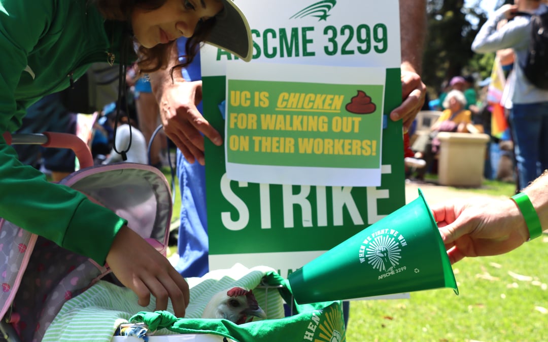 San Diego unions join striking UC health care workers at Balboa Park rally