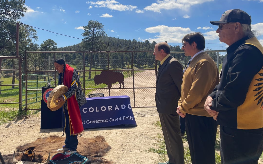 Colorado vows to protect wild bison by declaring them a huntable game species