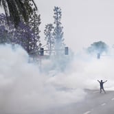 A protester stands with arms raised amid thick tear gas on a city street in Los Angeles, with traffic lights and palm trees visible through the haze.