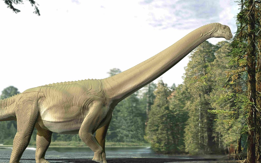 Judy the dinosaur’s guts suggest sauropods fed on flora