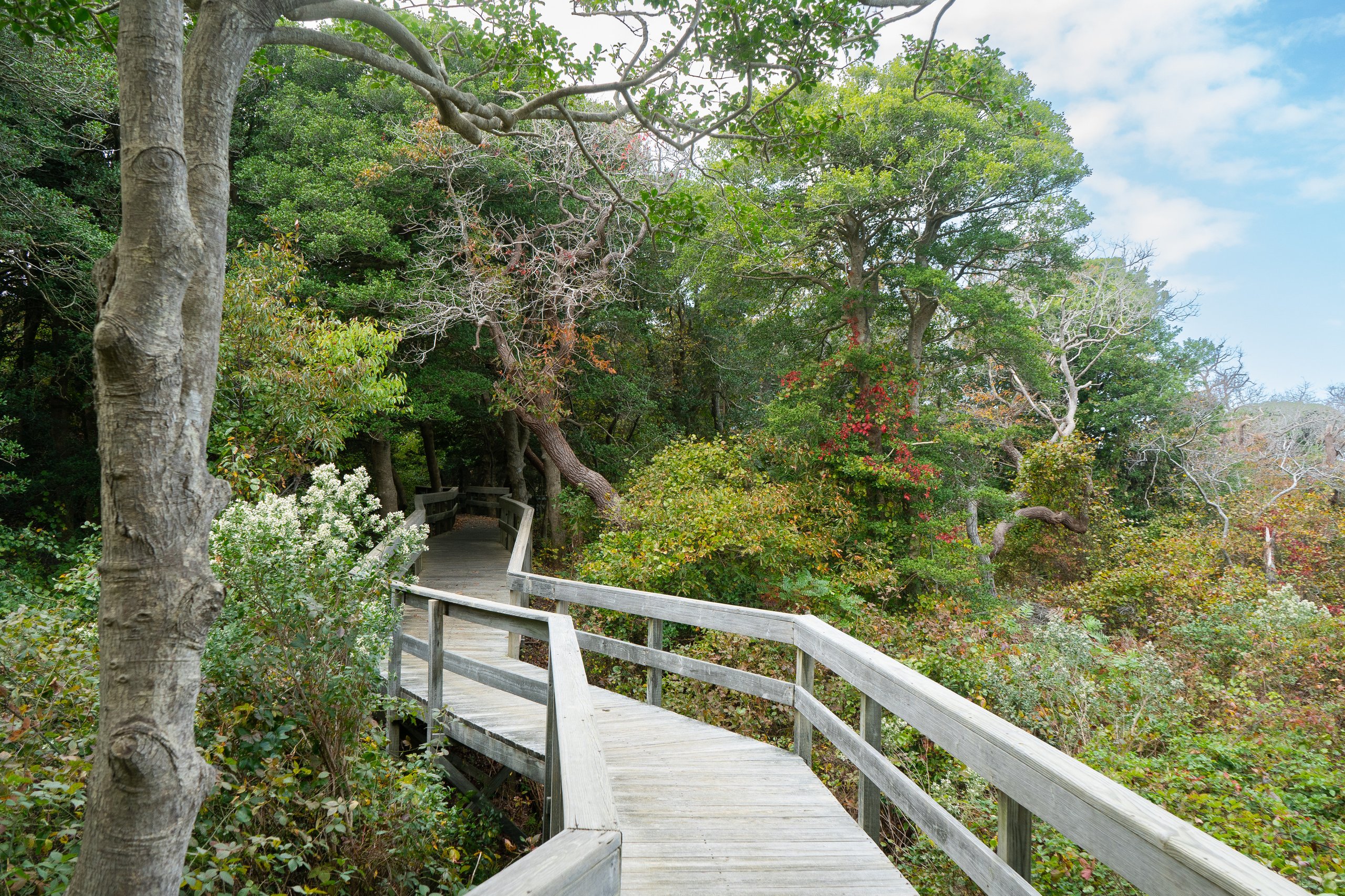 Second Circuit approves plans for deer control at New York nature preserve