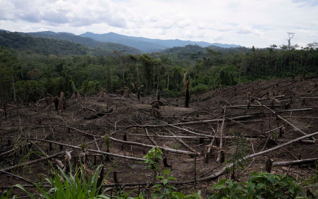 UK flags biodiversity loss as national security threat