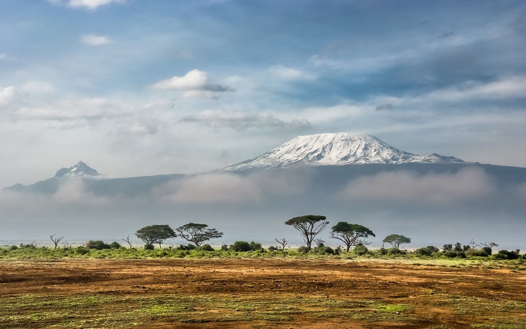 Study: Kilimanjaro’s exploding human population linked to massive biodiversity loss
