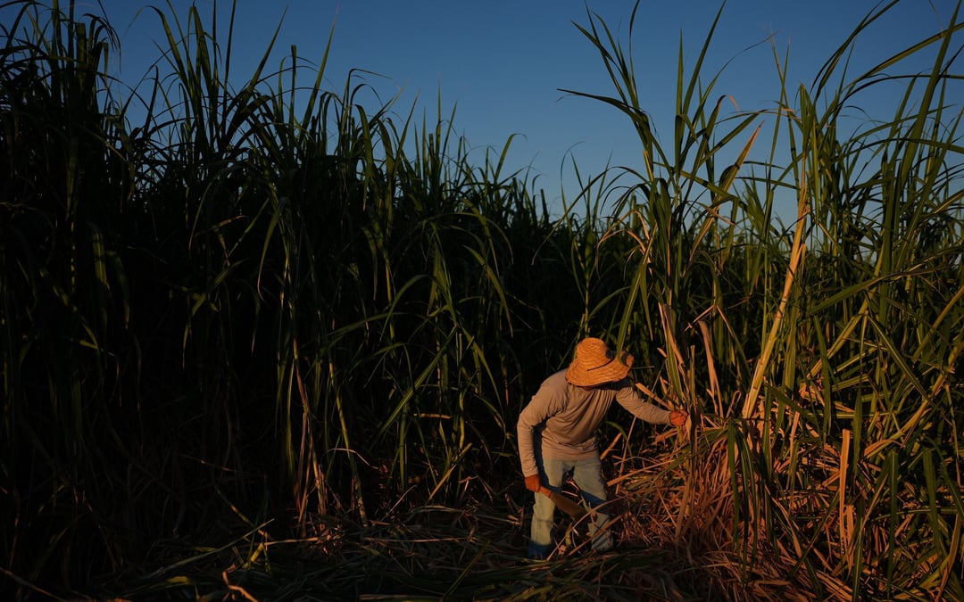 In a California farming region, researchers are mapping rural heat to protect farmworkers