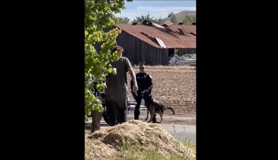 California cops dodge excessive force claims in killing of homeless man