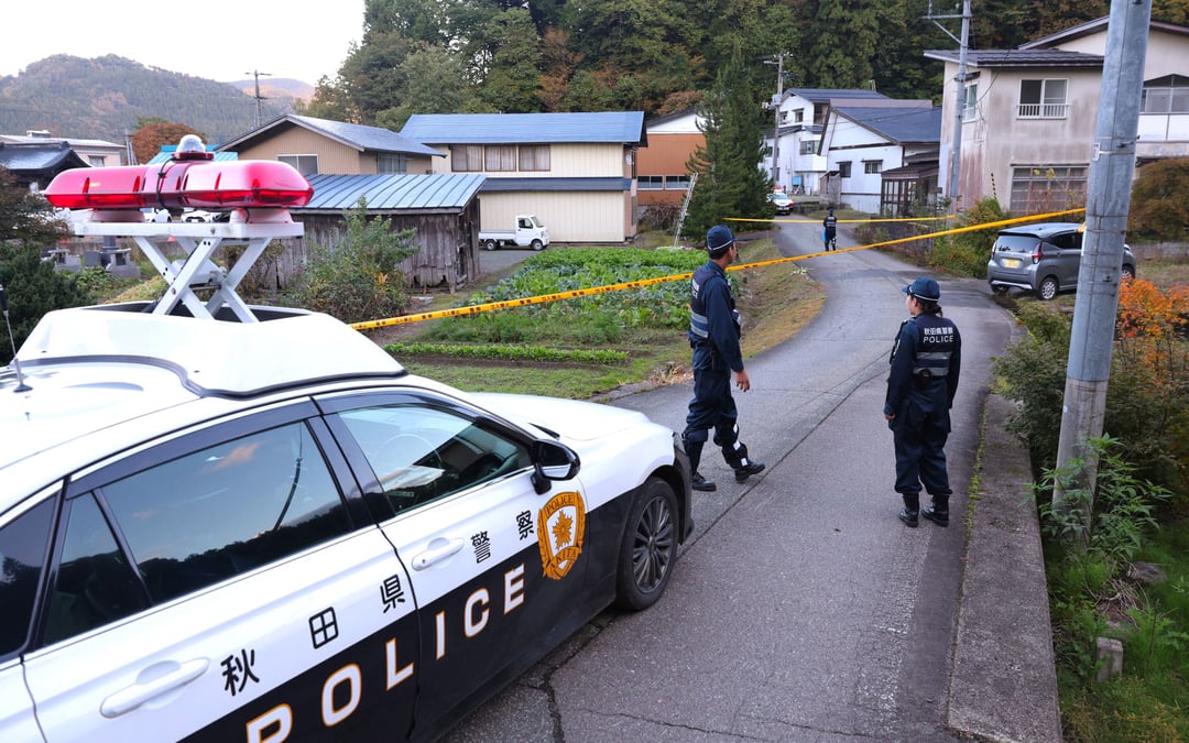 Bear kills another person in Japan in record year for fatal attacks