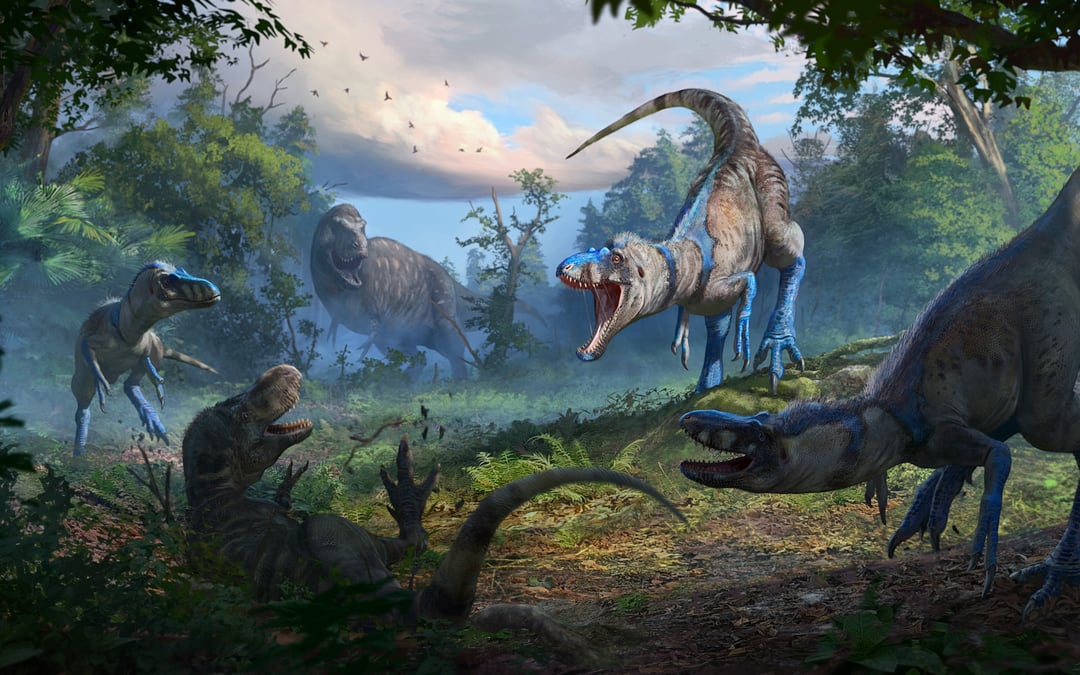 Tiny predator rewrites the T. rex story