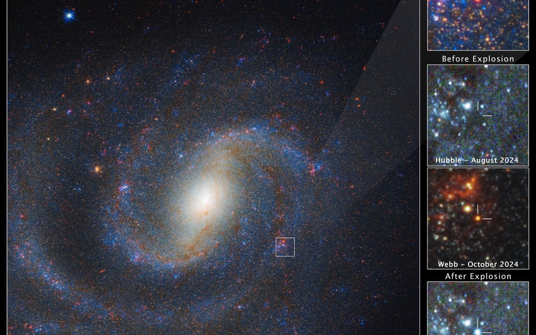 Webb telescope catches a star in its final act