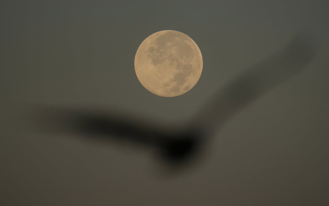 How to spot November’s supermoon, the closest of the year