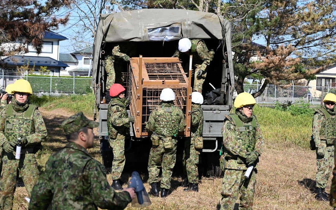 Japan deploys the military to counter a surge in bear attacks