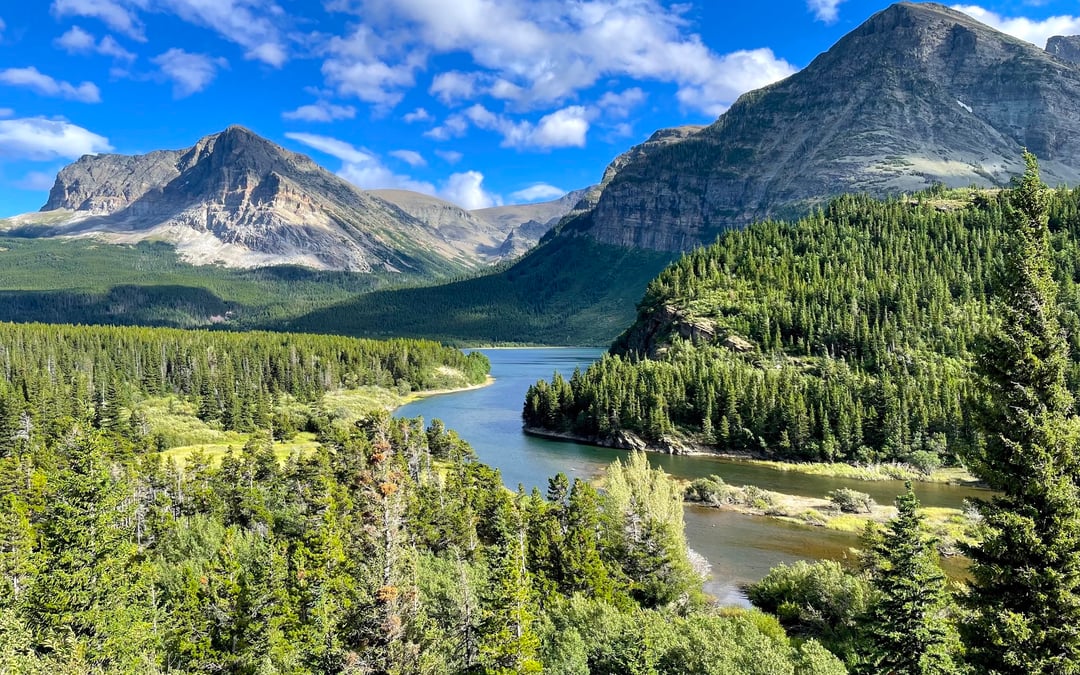 Conservationists sue Trump admin over rule cutting public comments on forest projects