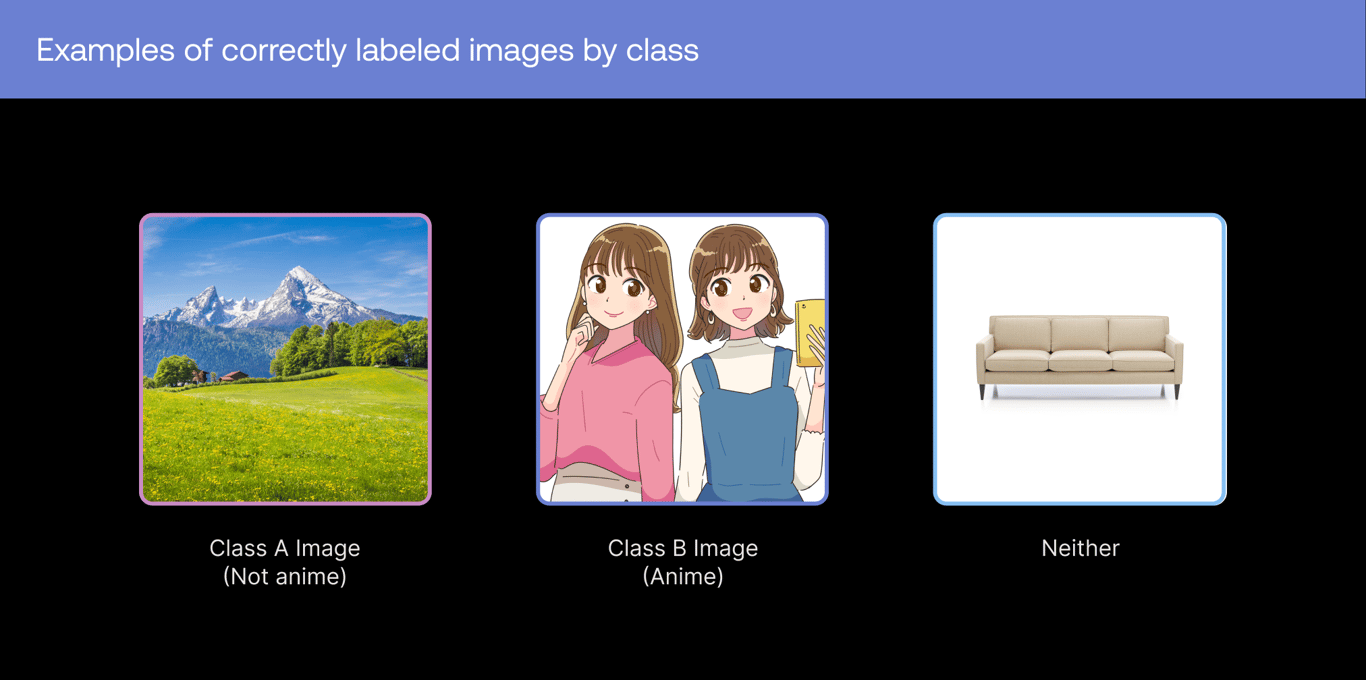 Examples of correctly labeled images by class