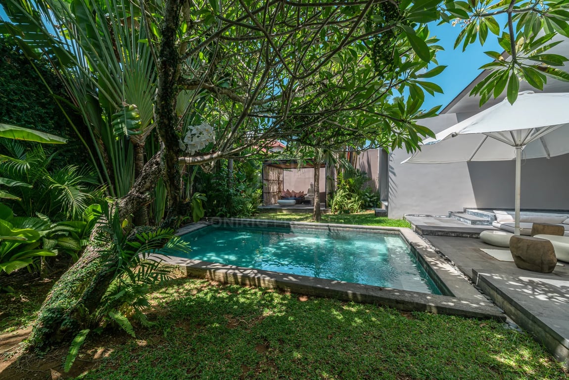 Oniriq Property