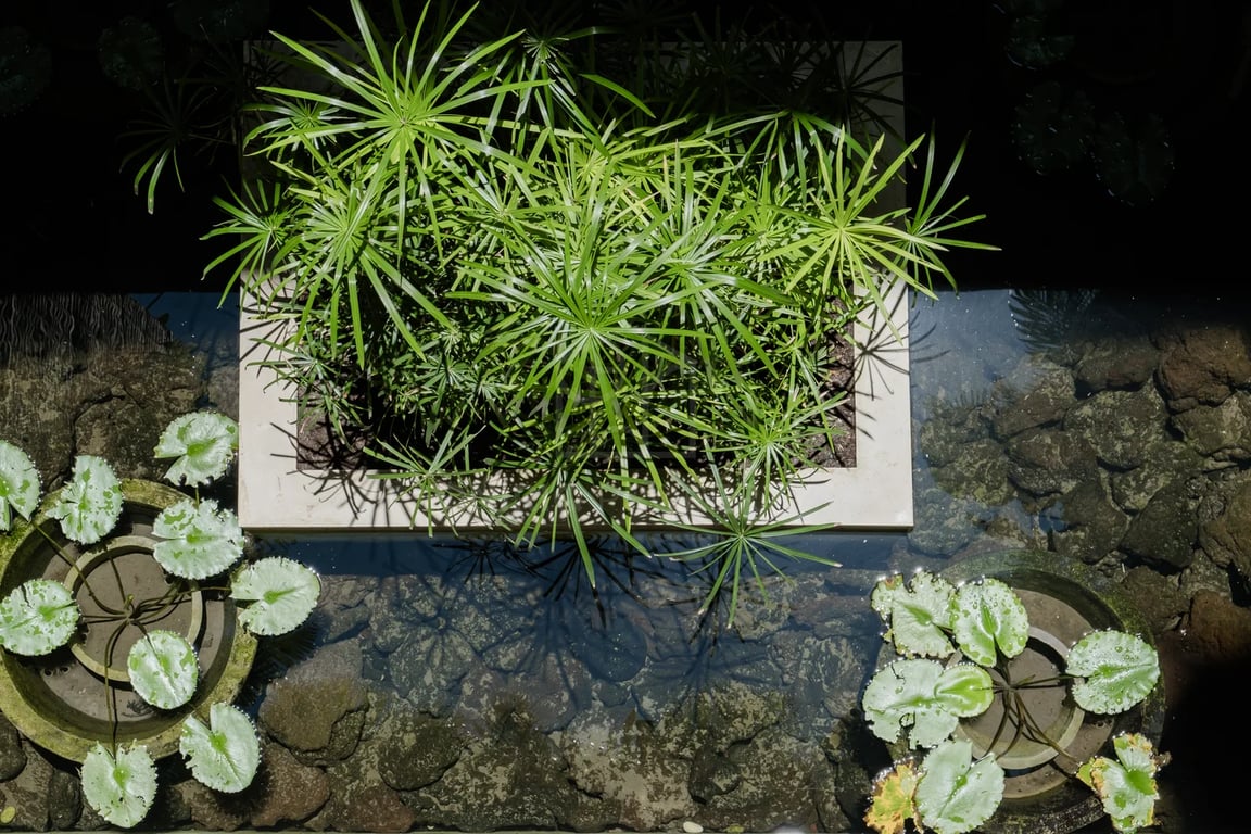 Oniriq Property