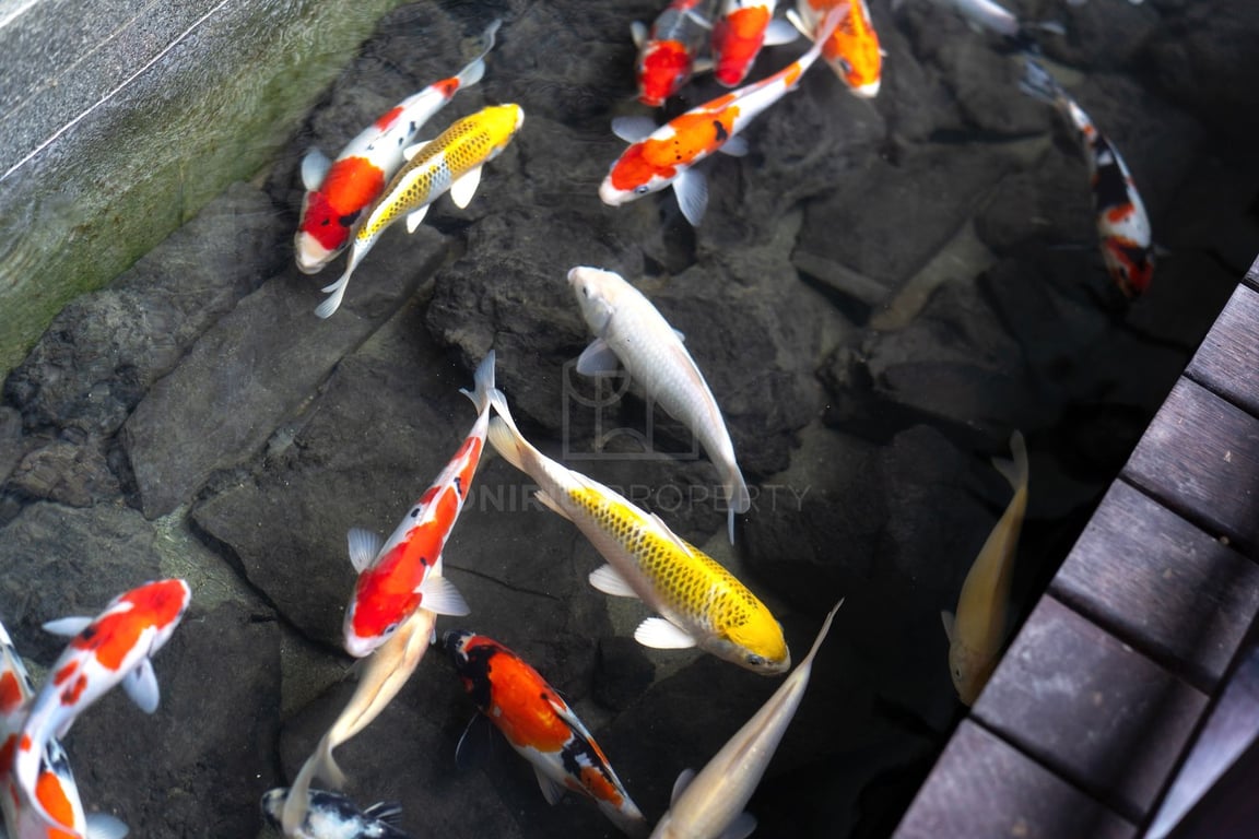 Cocobay Bali