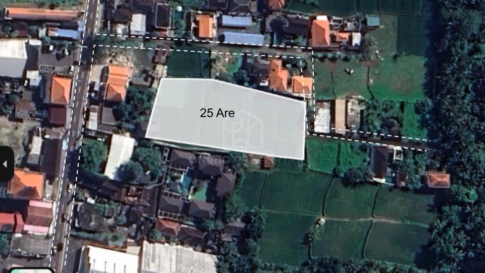 Oniriq Property
