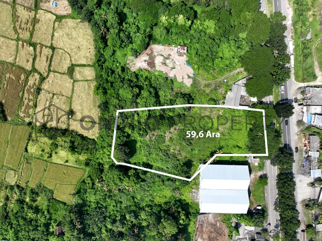 Oniriq Property