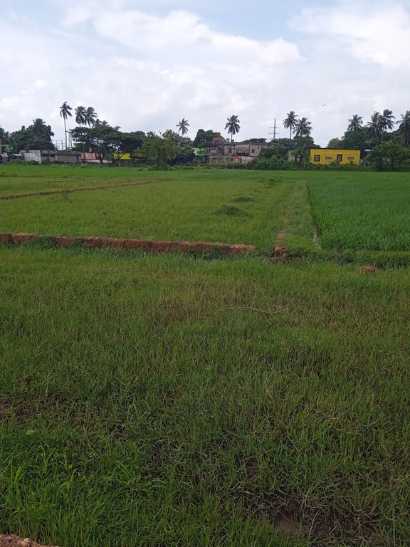 Plot for sale in Bhubaneswar thumbnail 2