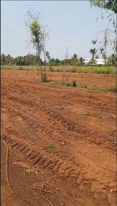 Land for Sale – Doddajala Amanikere, Near Bangalore Airport, Karnataka - 1