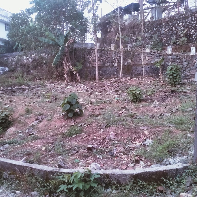 5 cents of residential plot for sale at chittazha. 6 lakhs per centTrivandrum. thumbnail 5