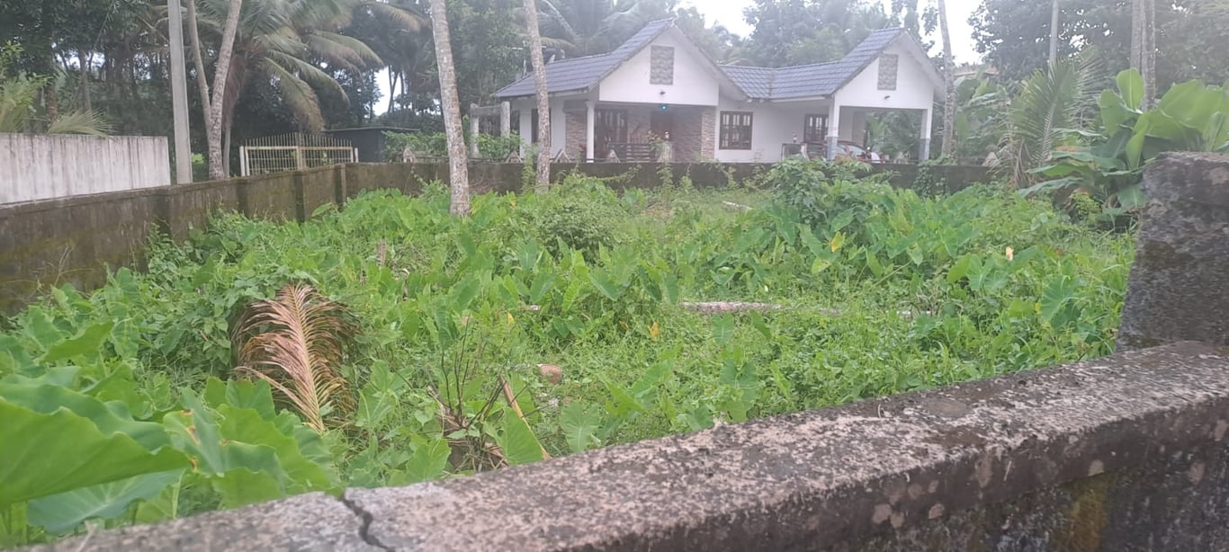 land fore sale in mulanthuruthy thumbnail 2