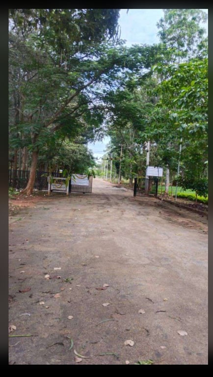 Plot for sale in Devanahalli Bangalore thumbnail 1