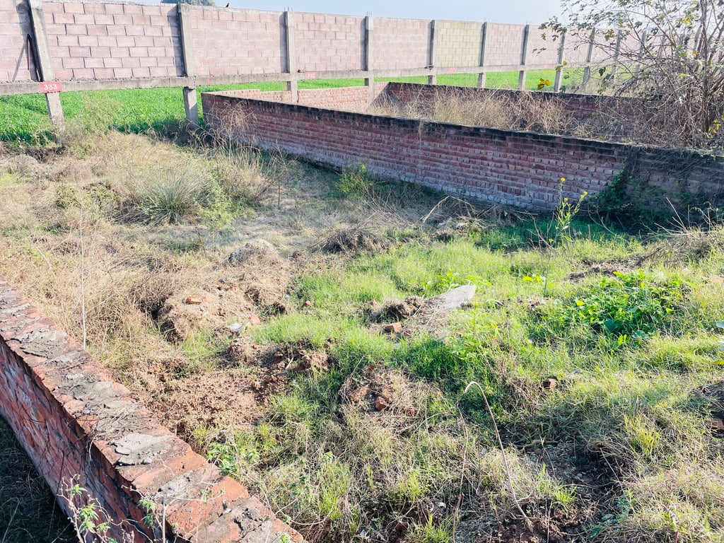 Commercial Shop plot in Chandigarh royal city thumbnail 4