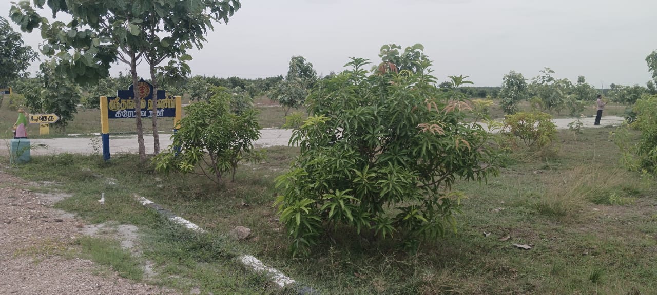 INVEST IN RAPIDLY APPRECIATING VILLA PLOT MADURANTHAGAM thumbnail 3