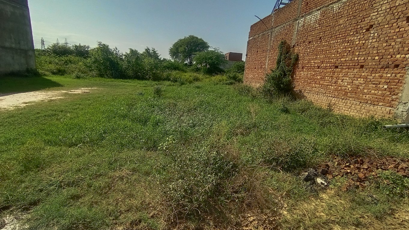 5 Marla Plot For Sale thumbnail 1