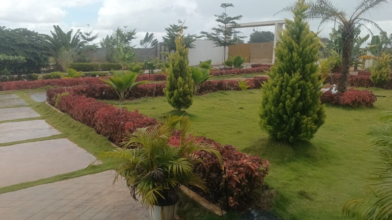 ORAIYANS GAM thumbnail 7