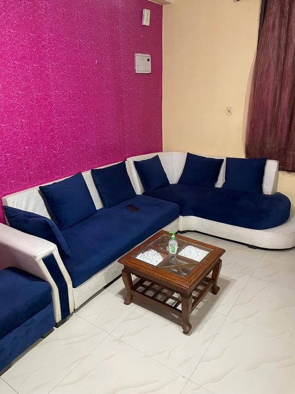 2BHK fully furnished flat thumbnail 2