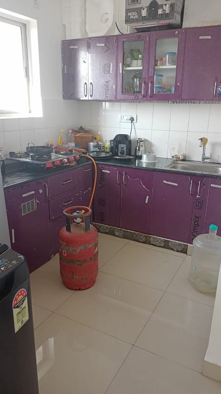 1 BHK APARTMENT thumbnail 5