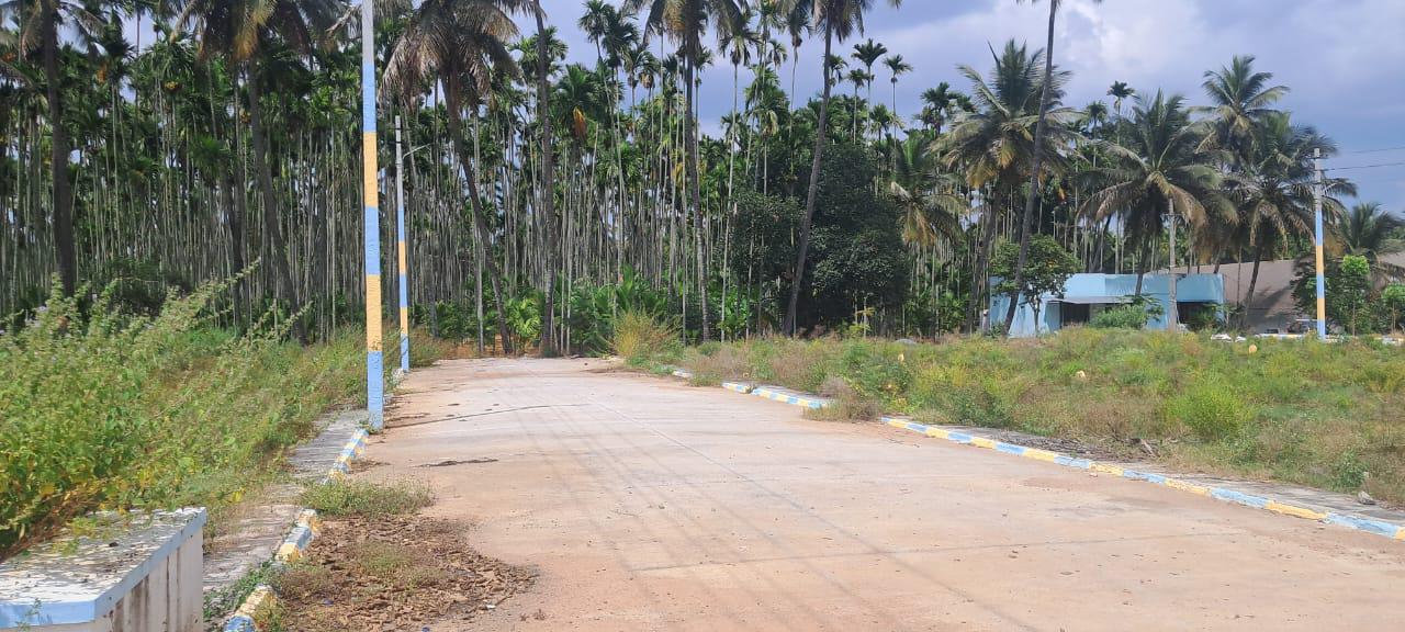 Residential Plots for Sale – Harmony SLN Enclave Near Dabaspete Circle, Nelamangala, Bangalore Rural thumbnail 6