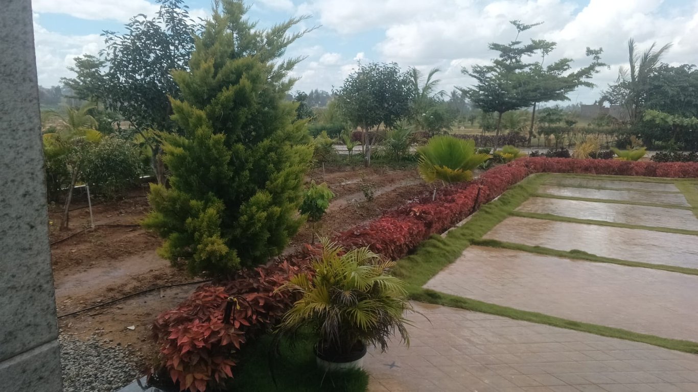 ORAIYANS GAM thumbnail 6