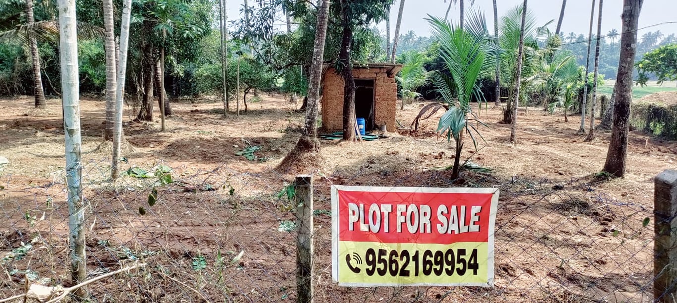 Residential Land for Sale – 36 Cents Near Thrissur Town, Kerala - 1